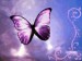 fialový motýľ